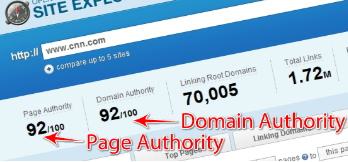 Page Authority Domain Authority for seo